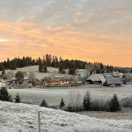 Helle Gemuetliche Ferienwohnung In Schwarzwaldhof Ibach エクステリア 写真