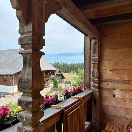 Helle Gemuetliche Ferienwohnung In Schwarzwaldhof Ibach エクステリア 写真