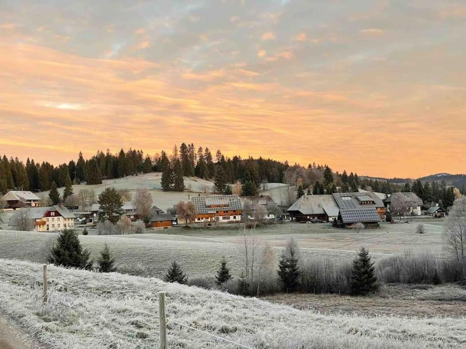 Helle Gemuetliche Ferienwohnung In Schwarzwaldhof Ibach エクステリア 写真