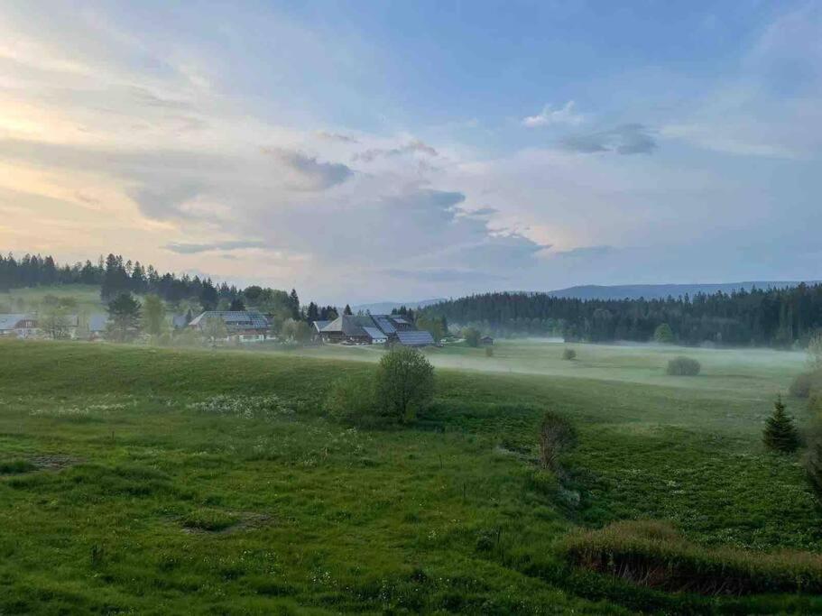 Helle Gemuetliche Ferienwohnung In Schwarzwaldhof Ibach エクステリア 写真