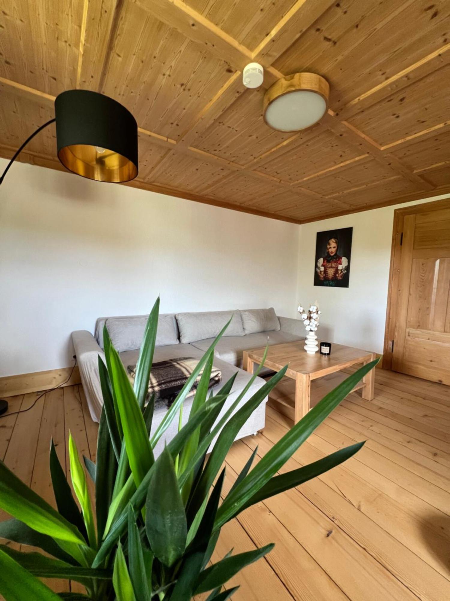 Helle Gemuetliche Ferienwohnung In Schwarzwaldhof Ibach エクステリア 写真