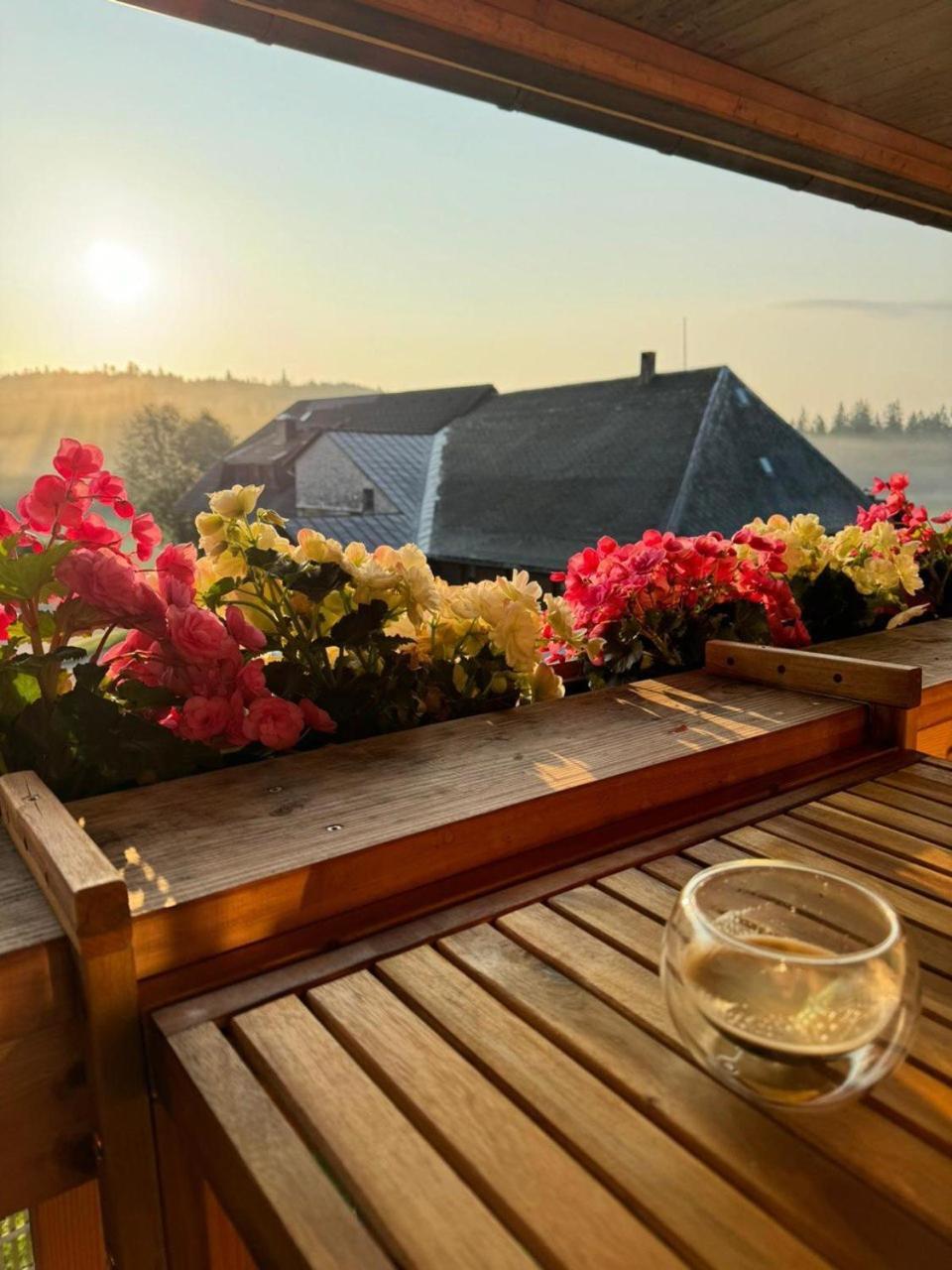 Helle Gemuetliche Ferienwohnung In Schwarzwaldhof Ibach エクステリア 写真
