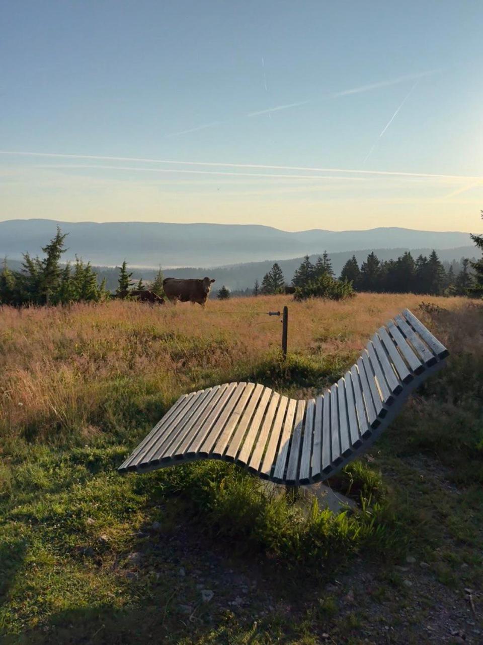 Helle Gemuetliche Ferienwohnung In Schwarzwaldhof Ibach エクステリア 写真